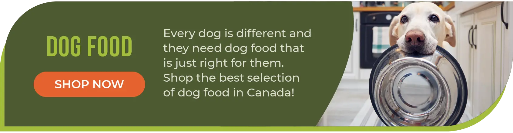 Can Dogs Eat Cat Food The Dietary Differences of Dogs and Cats